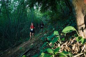 BIB: 
                            <button type="button" onclick="openModal(28124636)" class="btn btn-primary btn-sm float-right btn-popup" data-toggle="modal" data-target=".modal-high-quality">
                        <i class="fas fa-shopping-cart"></i> Add to Cart
                    </button>
                                            <button type="button" onclick="isThisMe(28124636, true)" class="btn btn-success btn-sm float-right btn-popup btn-isme hidden" data-toggle="tooltip" data-placement="bottom" title="นี่คือรูปของคุณใช่ไหม คลิกที่นี่เพื่อเอาเข้าอัลบั้ม">
                        <i class="fas fa-plus"></i> Add to album
                    </button>
                    <button type="button" onclick="isThisMe(28124636, false)" class="btn btn-warning btn-sm float-right btn-popup btn-isnotme hidden">
                        <i class="fas fa-ban"></i> Remove from album
                    </button>